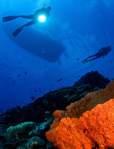 liquid motion ocean foundation - marine foundation - non profit - underwater